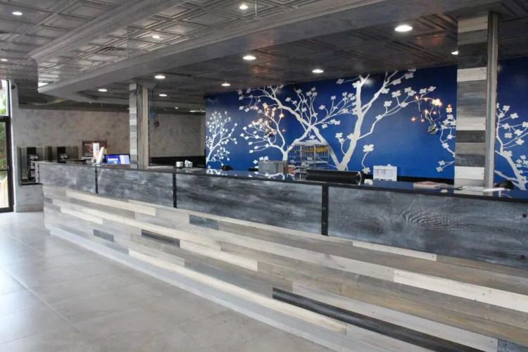 Celebration Suites