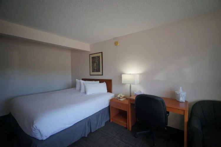 Superior Single room