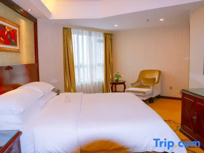 1 Bedroom Deluxe Suite