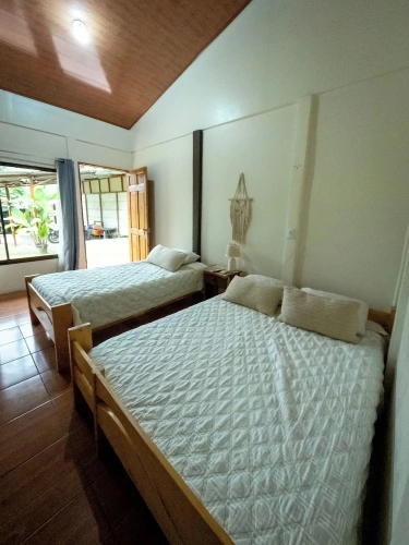 Standard room with garden view