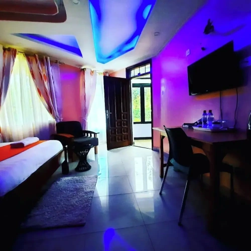 Deluxe Double room with garden view