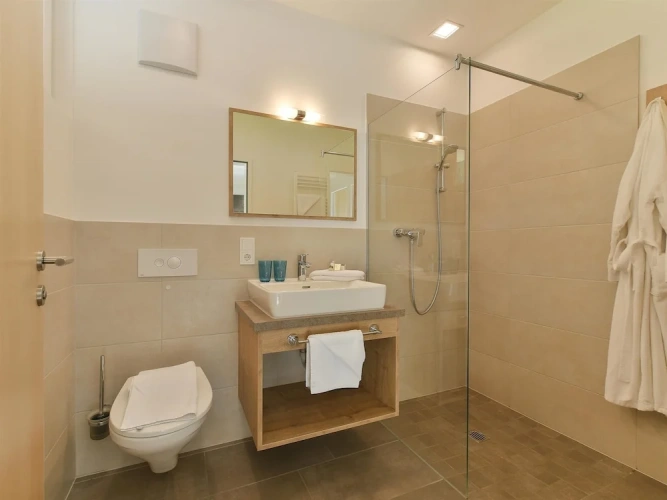 1 Bedroom Comfort Apartment with balcony and with mountain view