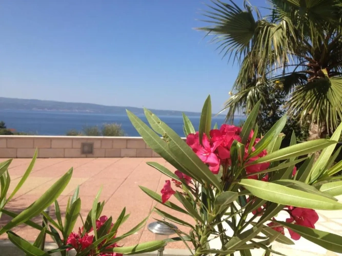 3 Bedrooms Apartment with balcony and with sea view