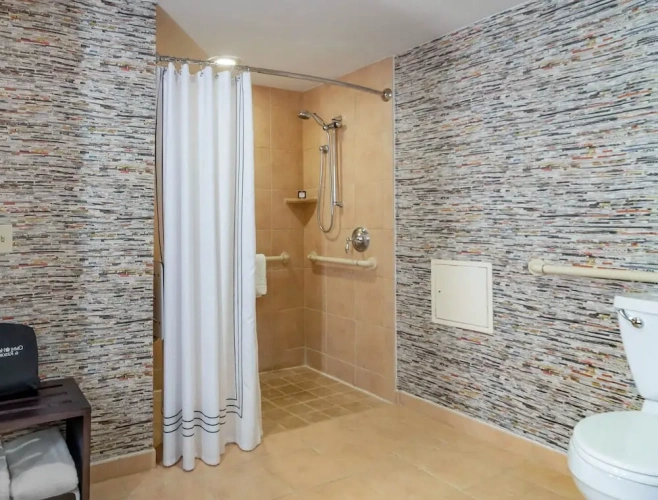 Deluxe Accessible Double room