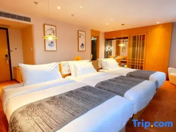 Standard Double Family room