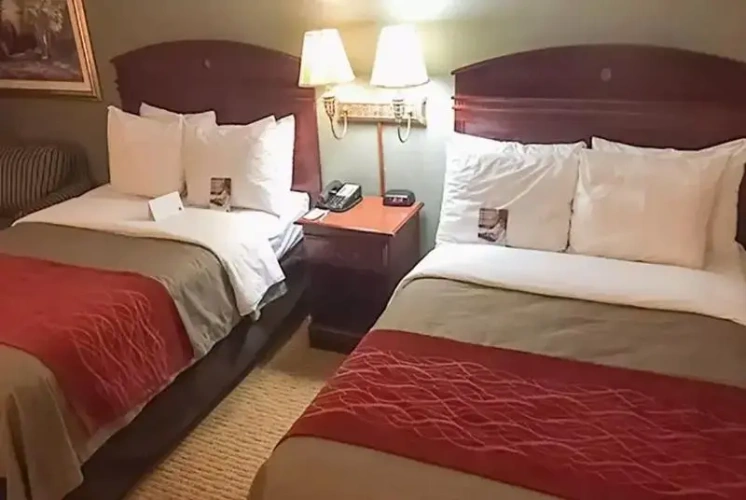 Standard Sextuple room