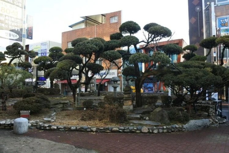 Andong Hotel