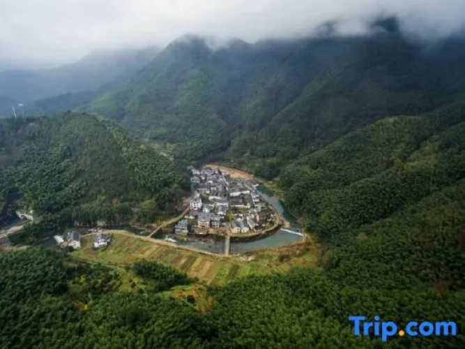 Tree House Guesthouse