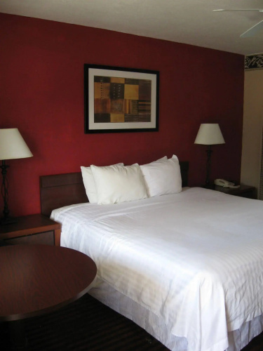 The L Motel - Downtown Flagstaff