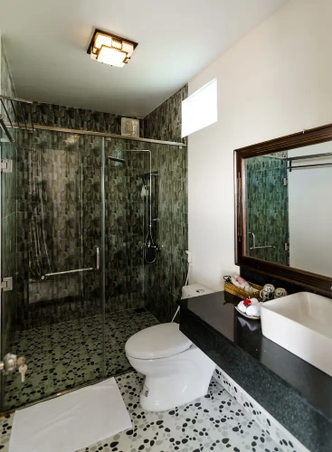 Deluxe Double room with balcony and with river view