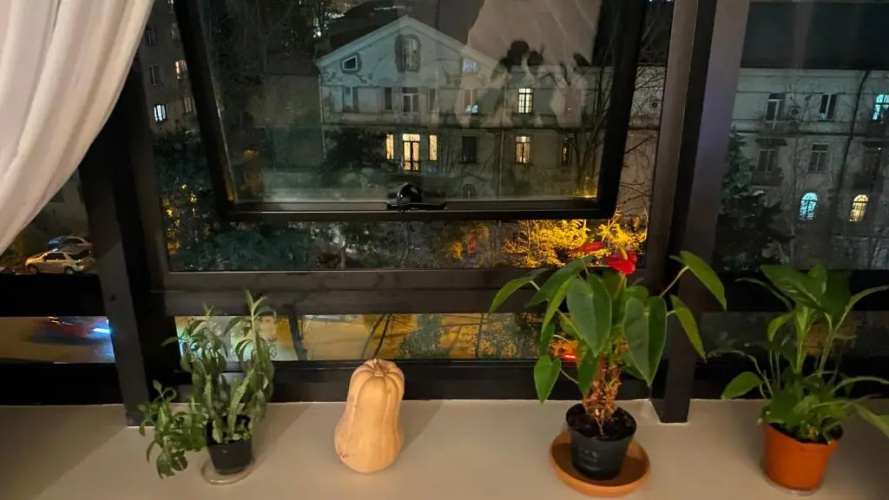 Apartment in Tbilisi “Green Budapest “