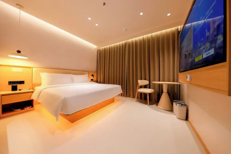 Standard Double room with city view