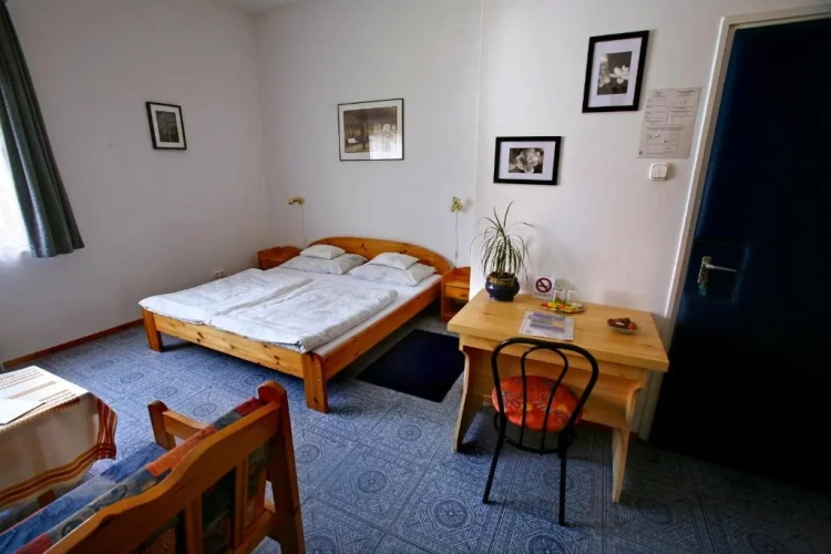 Standard Single room with view