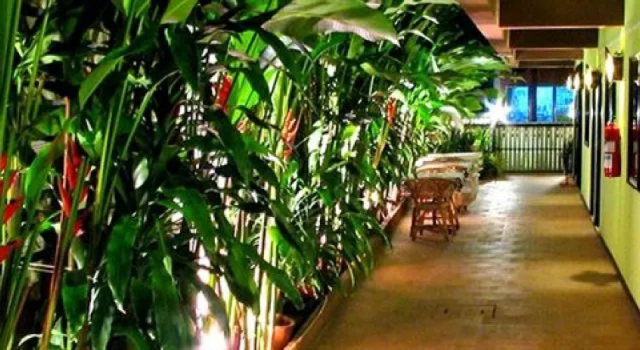 T Room Guesthouse