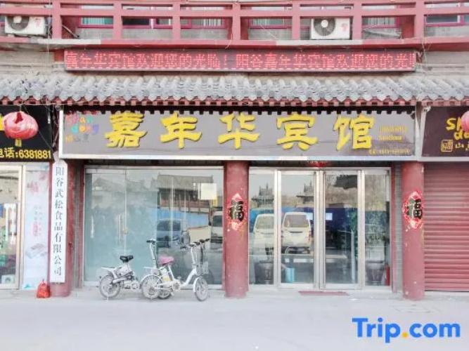 Yanggu Carnival Hotel