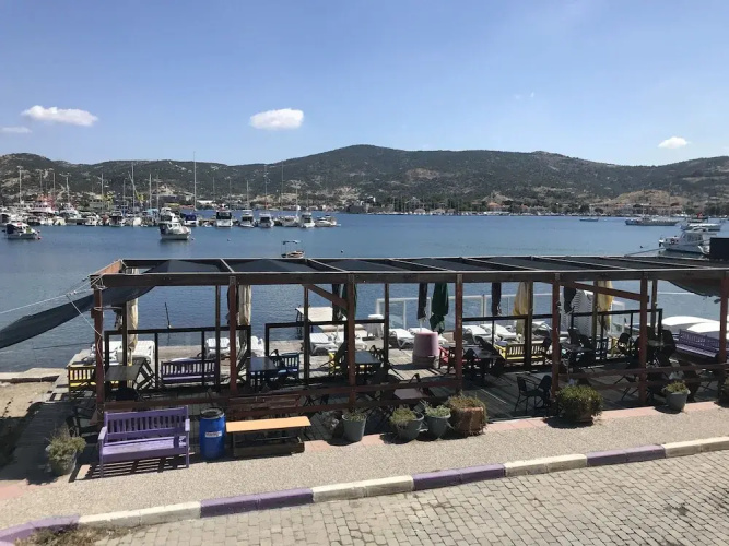 Vertigo Foca