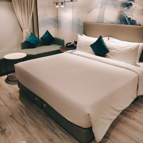 Park Inn by Radisson Surat