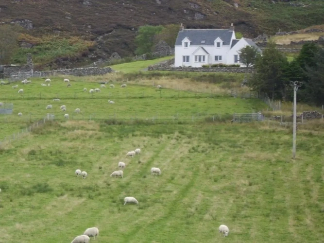 Cottage