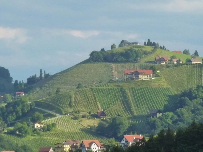 Wohlmuth-Lückl