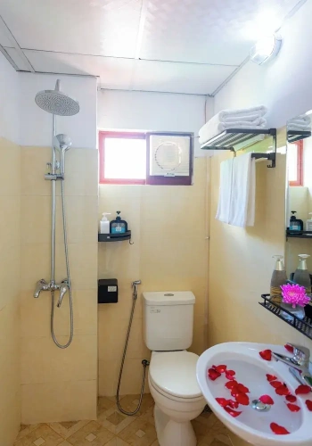 Superior Double room with balcony and with mountain view