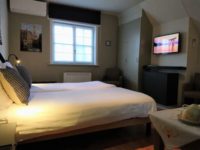 Classic Twin room