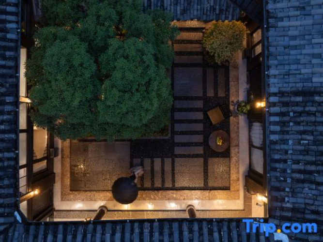 Under the Tree Chun Leisurely Courtyard