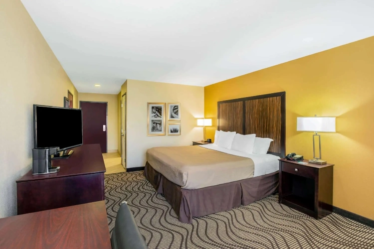 Deluxe Double Suite