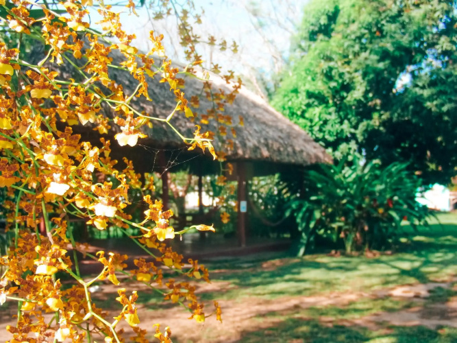 Mana Kai Camping & Cabins