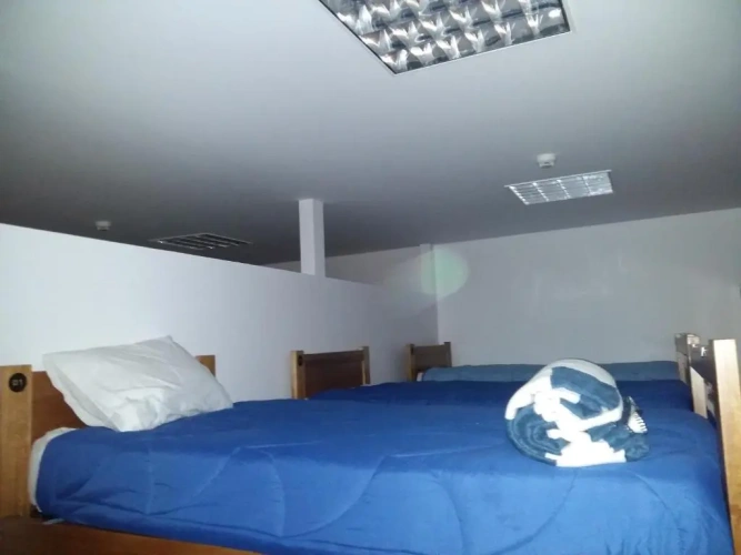Bed in Dorm