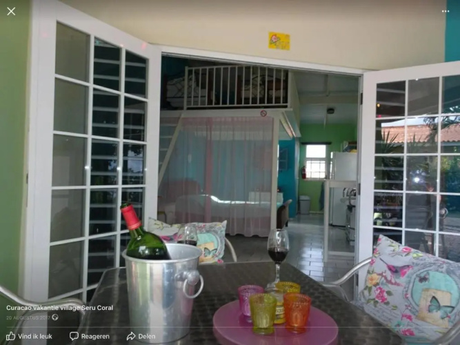 Droomstudio seru coral 32