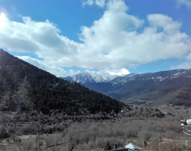 1 Bedroom Standard Triple room with mountain view