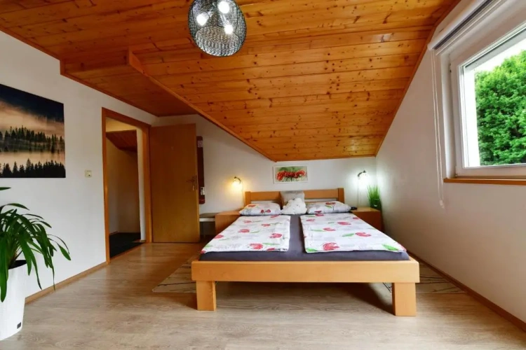 Standard Double room with balcony and with view
