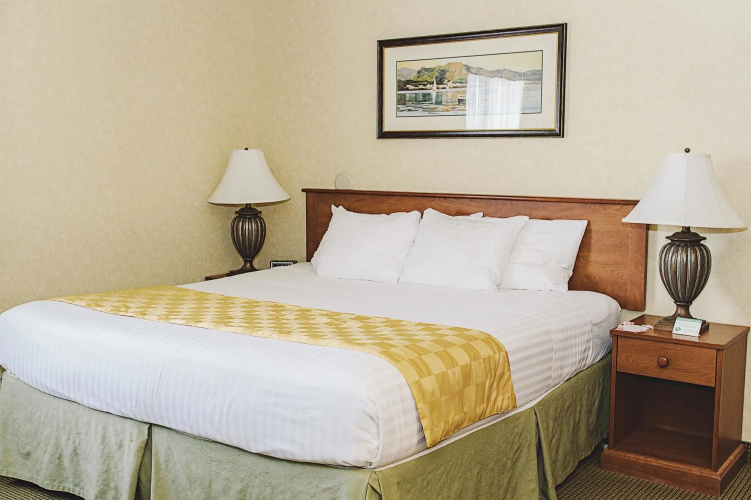 Lavissh Inn & Suites