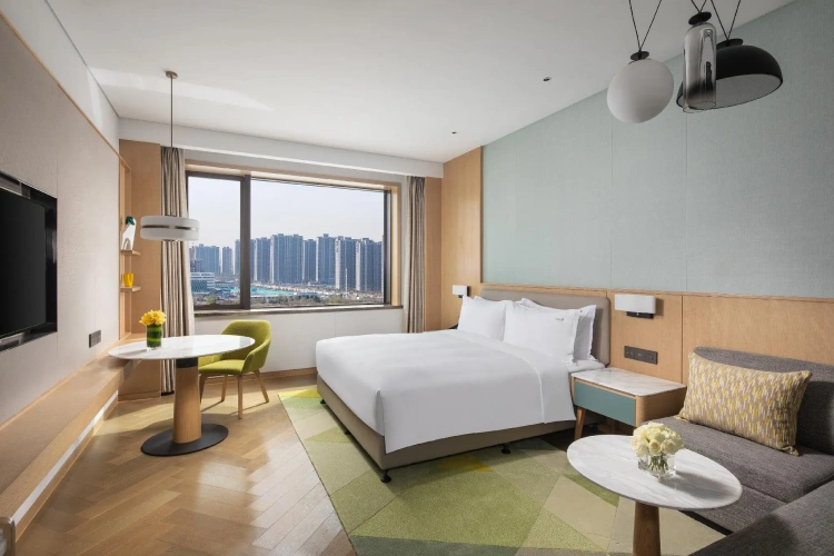 Standard Double room with city view