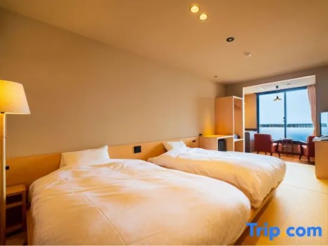 Standard Twin room with ocean view