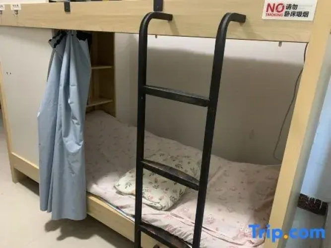Bed in Dorm (male dorm)
