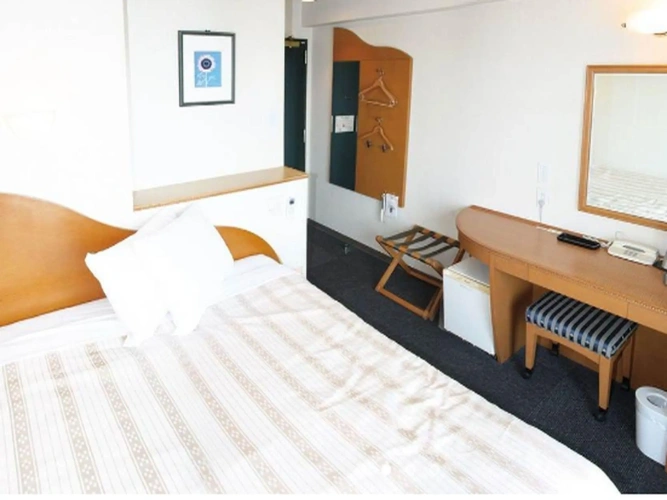 Standard Double room with city view