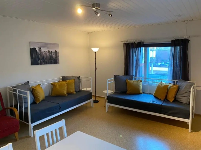1 Bedroom Apartment