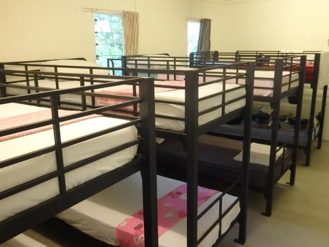 Bed in Dorm