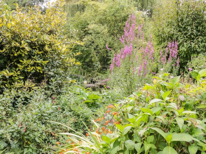 The Garden Cottage