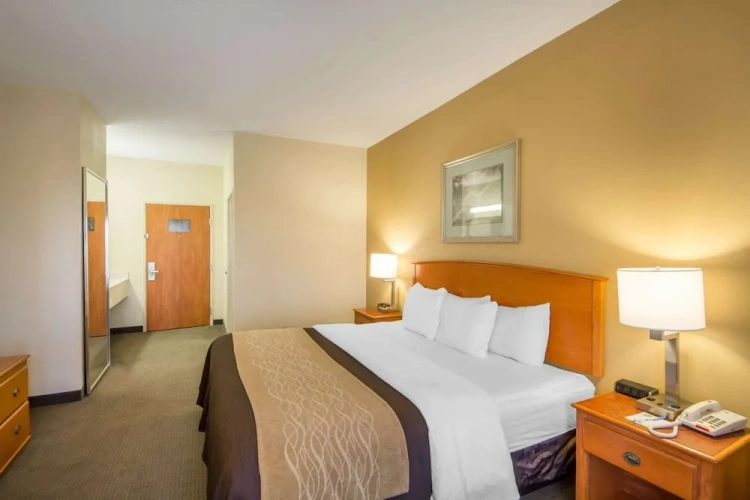 Standard Double room