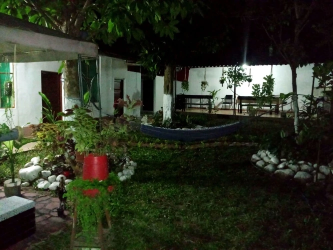 Bed in Dorm with garden view