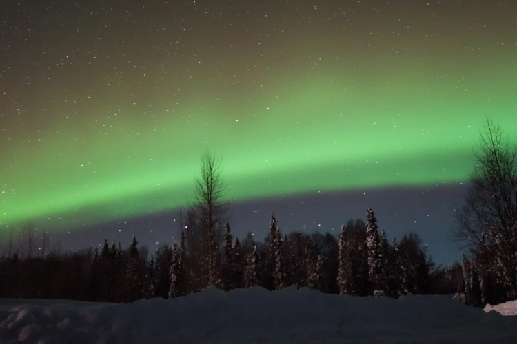 Backwoods Cabins at Susitna River Lodge
