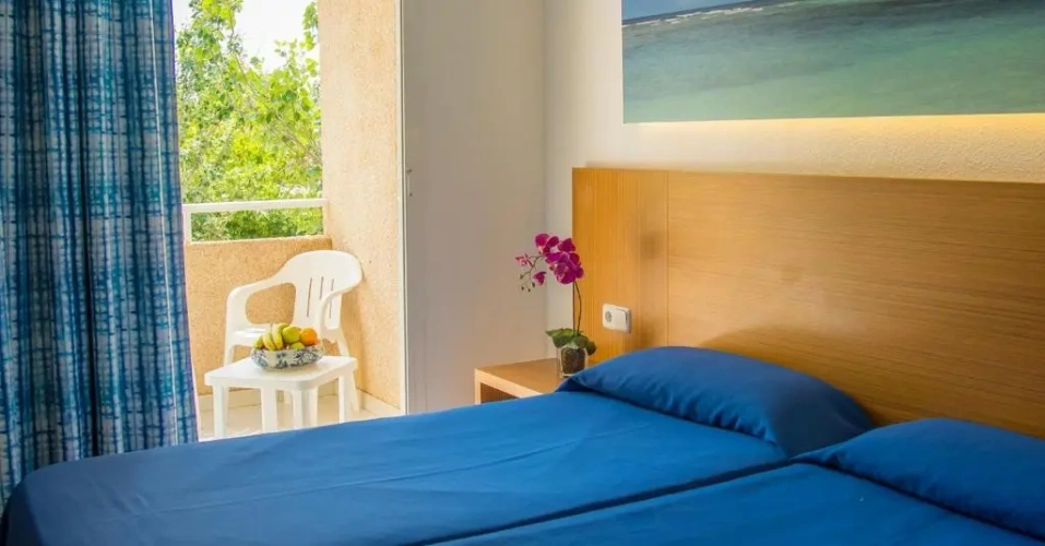 Standard Twin room with view