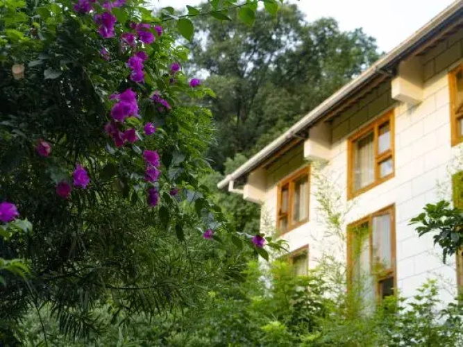 Emei Bamboo Hills Private Hot Spring Hostel