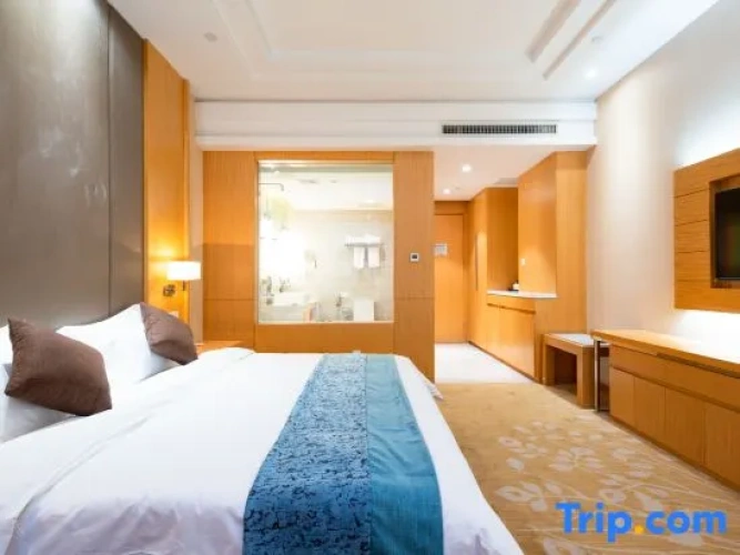 Deluxe Double room with city view