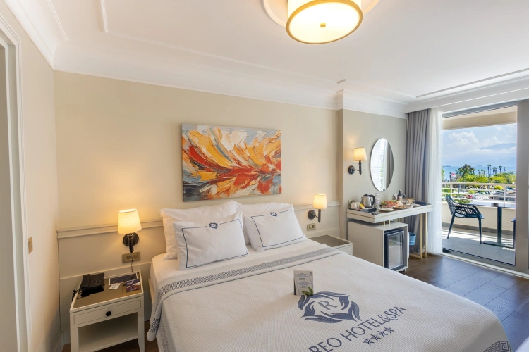 Deluxe room with land view