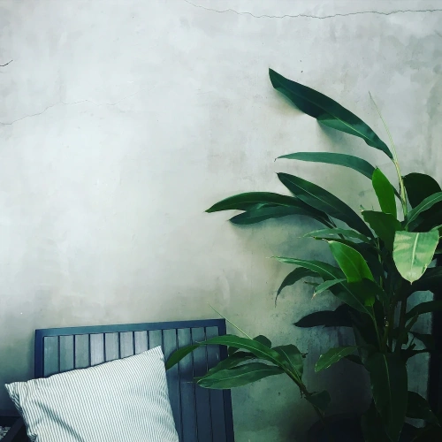 Premier Double room