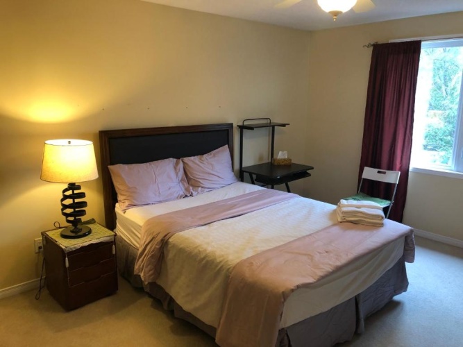 Deluxe Double Suite with view