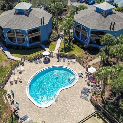 Hibiscus H104 in St Augustine